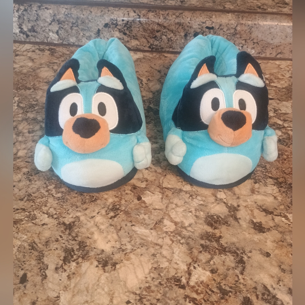 Blue Character Kids Slippers